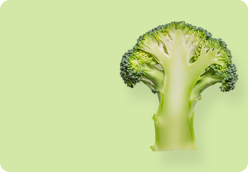Fresh Vegetables